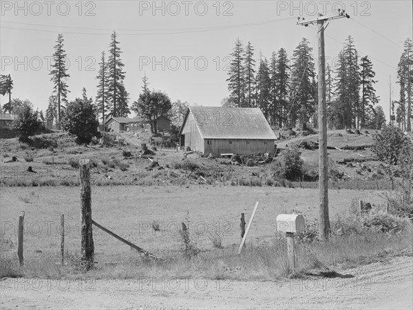 Stump farm. Typical of cut-over area of Western Washington. Lewis County, near Vader.