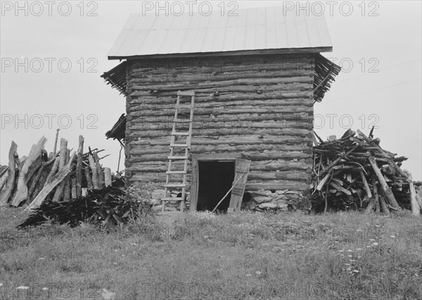 Wood stacked up preliminary to firing the tobacco. Person County, North Carolina.