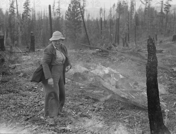 Family work clearing land by burning. Near Bonners Ferry, Boundary County, Idaho.