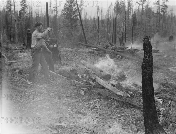 Family work clearing land by burning. Near Bonners Ferry, Boundary County, Idaho.