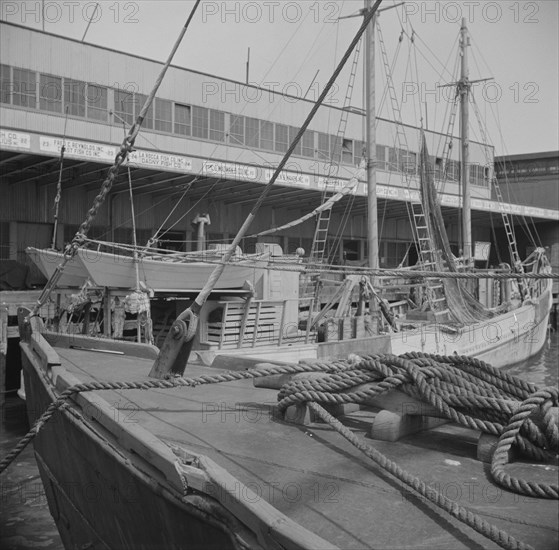 New York, New York. A scene at the Fulton fish market.