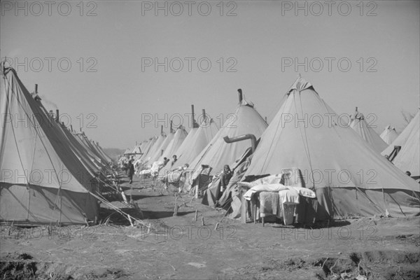 Flood refugee encampment at Forrest City, Arkansas].