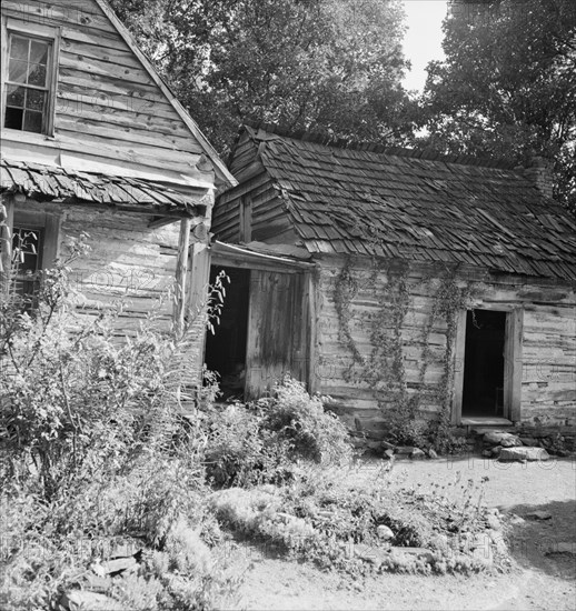 House and yard of Negro owner.