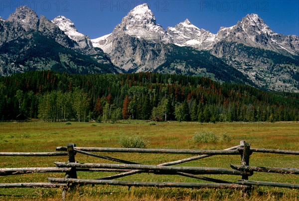 Tetons Fence.