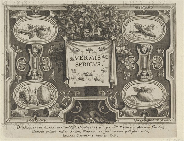 Title Plate from "The Introduction of the Silkworm" [Vermis Sericus], ca. 1595 Creator: Karel van Mallery.