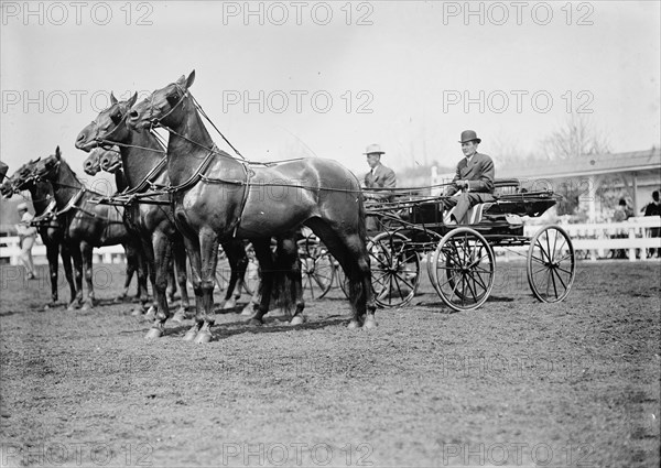 Horse Shows. Teams, 1911.