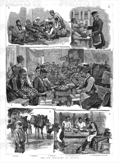 'The Fig industry in Smyrna', 1886.  Creator: Unknown.