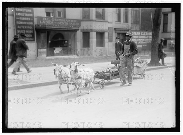 Goat team, between 1910 and 1917. Creator: Harris & Ewing.