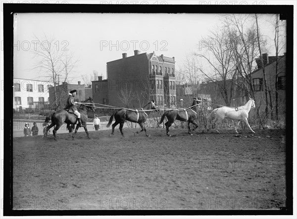 Society Circus, between 1910 and 1917.