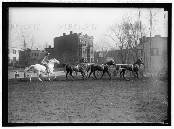 Society Circus, between 1910 and 1917.