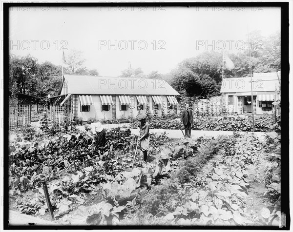 War Garden Commission, between 1910 and 1920.