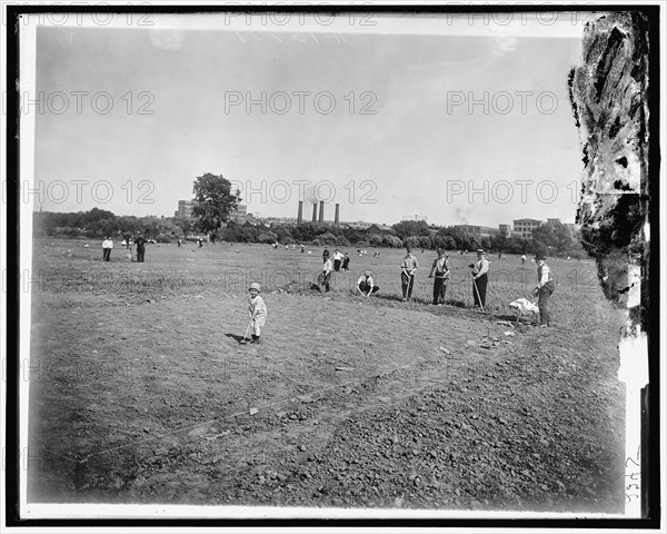 National Emergency Food Garden, between 1910 and 1920. USA.