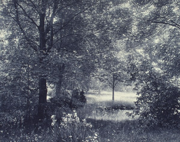 Landscape of trees and meadow with irises in foreground, c1900.