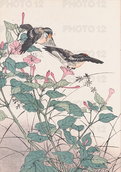 The Four Seasons Bird and Flower Albums (Keinen Kacho Gafu), 1891-1892. Private Collection.