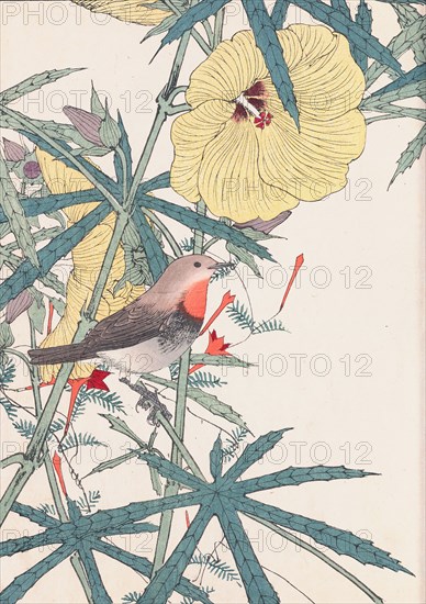 The Four Seasons Bird and Flower Albums (Keinen Kacho Gafu), 1891-1892. Private Collection.