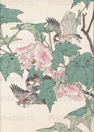 The Four Seasons Bird and Flower Albums (Keinen Kacho Gafu), 1891-1892. Private Collection.