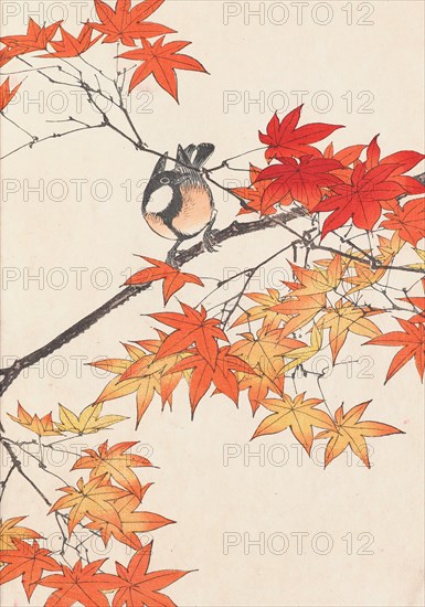 The Four Seasons Bird and Flower Albums (Keinen Kacho Gafu), 1891-1892. Private Collection.