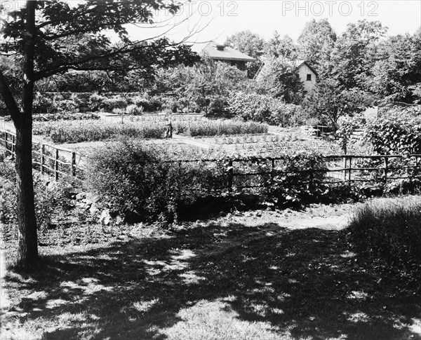 Chelmsford, Elon Huntington Hooker house, Greenwich, Connecticut. Vegetable garden, c1914.