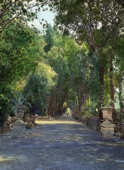 Villa Borghese, Rome, Lazio, Italy, 1925. Creator: Frances Benjamin Johnston.