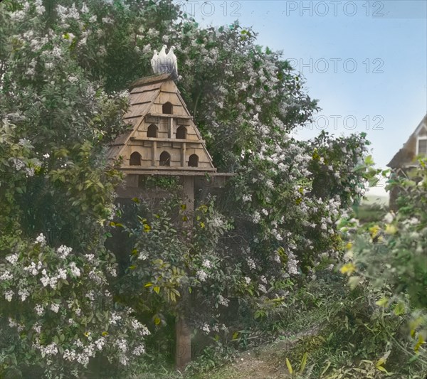 Gray Gardens, Robert Carmer Hill house, Lily Pond Lane, East Hampton, New York, c1914. Creator: Frances Benjamin Johnston.