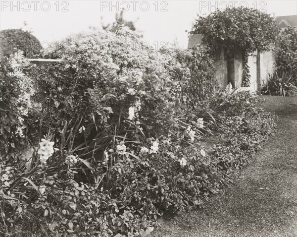 Gray Gardens, Robert Carmer Hill house, Lily Pond Lane, East Hampton, New York, c1916. Creator: Frances Benjamin Johnston.