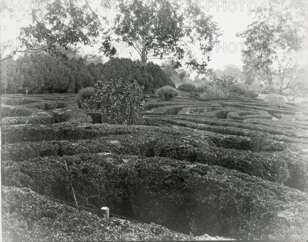 Tuckahoe, Nehemiah Addison Baker house, Route 650, near Mankin, Goochland County, VA, 1936. Creator: Frances Benjamin Johnston.