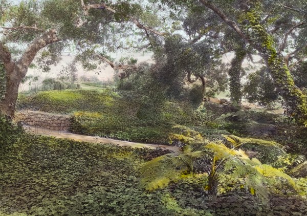 Glen Oaks, James Hobart Moore house, East Valley Road, Montecito, California, 1917. Creator: Frances Benjamin Johnston.