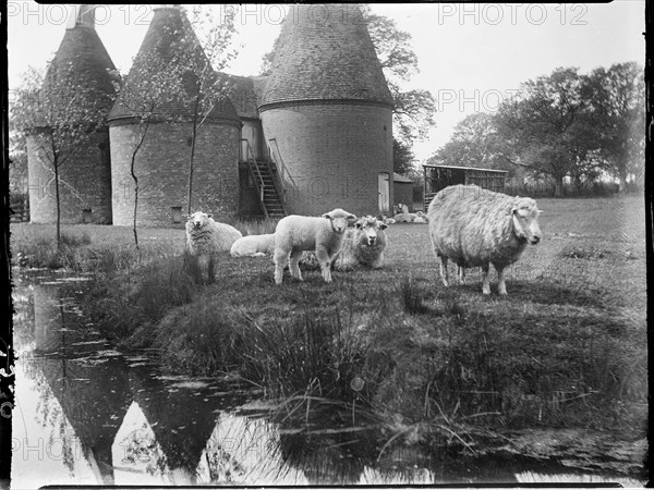 Luckhurst, Lower Road, Stone-cum-Ebony, Ashford, Kent, 1926. Creator: Katherine Jean Macfee.