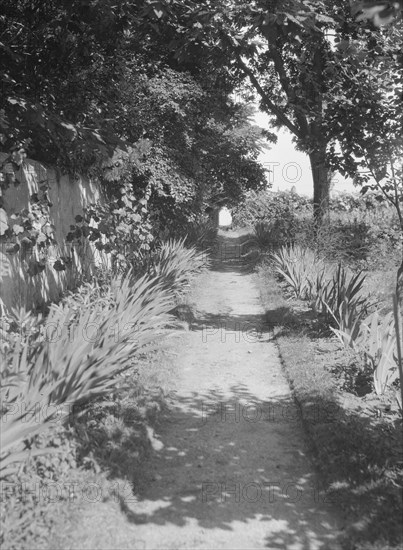 Cosgrave grounds, not before 1917. Creator: Arnold Genthe.