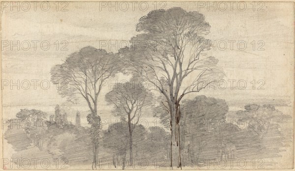 An Evening Landscape with Tall Trees. Creator: Birket Foster.