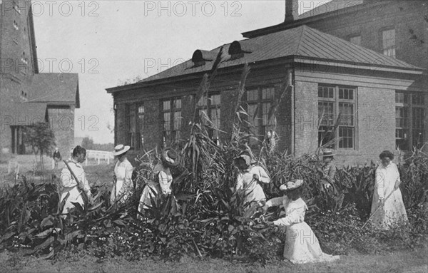 Outdoor work for girls, 1904. Creator: Frances Benjamin Johnston.