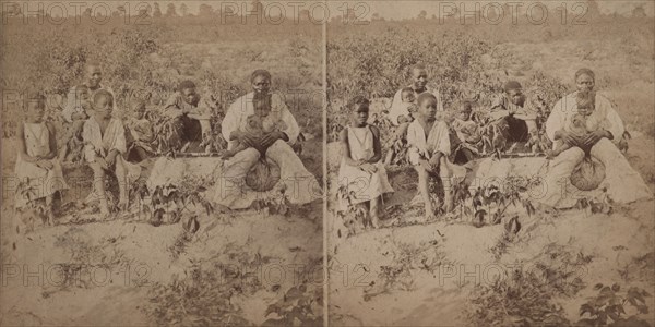 Family group posing in cotton field, c1880-c1889. Creator: Unknown.