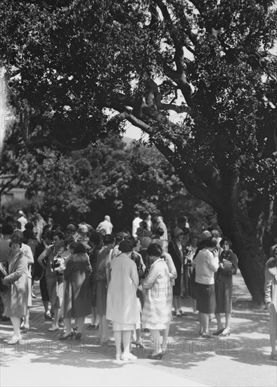 University of California at Berkeley views, 1927 Creator: Arnold Genthe.