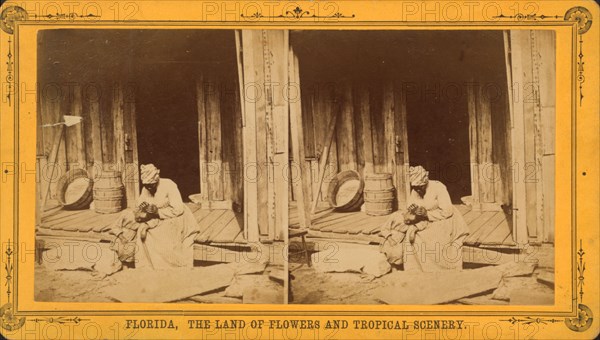 An Hour's search; or, Aunt Venue hunting for Florida fleas, c1850-c1930. Creator: Unknown.