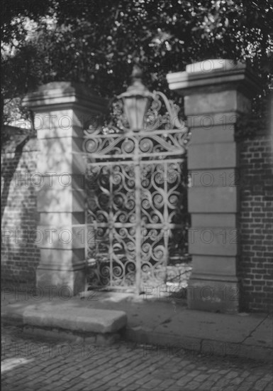 Wrought iron gate, New Orleans or Charleston, South Carolina, between 1920 and 1926. Creator: Arnold Genthe.