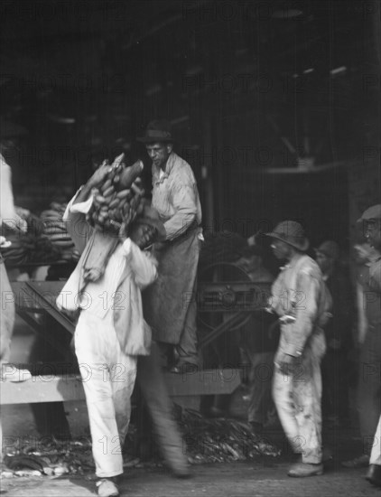 Unloading bananas, New Orleans, between 1920 and 1926. Creator: Arnold Genthe.