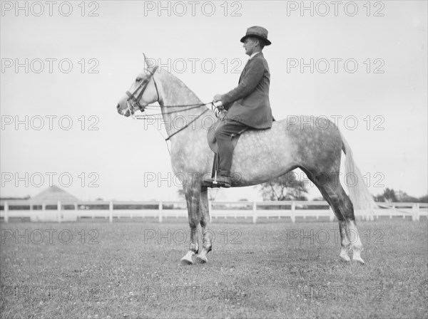 Fletcher, Mr., on a horse, 1933 July. Creator: Arnold Genthe.