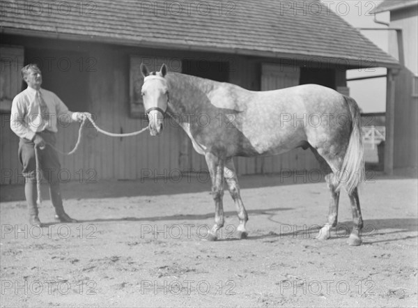 Fletcher, Walter D. Fletcher, with horse, 1934 Sept. Creator: Arnold Genthe.