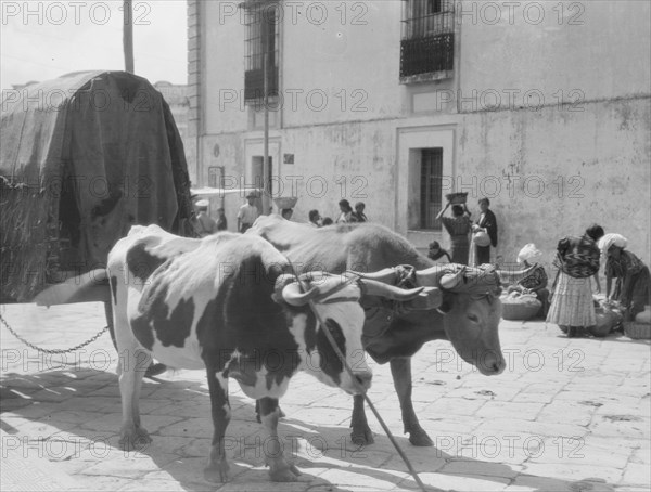 Travel views of Cuba and Guatemala, between 1899 and 1926. Creator: Arnold Genthe.