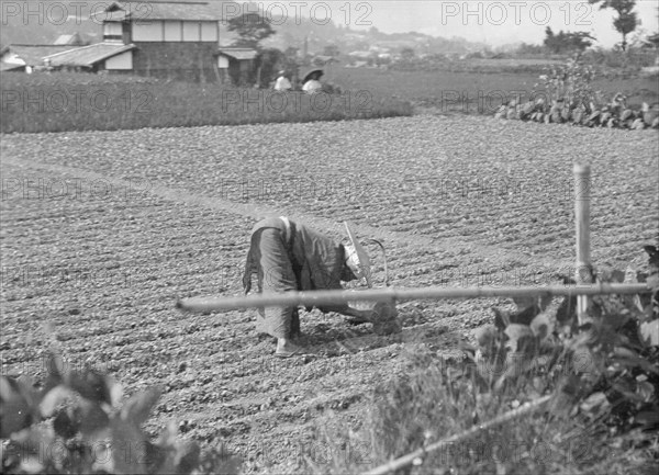 Travel views of Japan and Korea, 1908. Creator: Arnold Genthe.