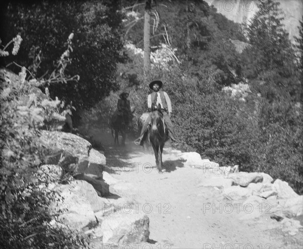 Travel views of Yosemite National Park, between 1903 and 1906. Creator: Arnold Genthe.