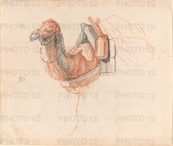 Camel, 1770s. Creator: Johann Rudolf Schellenburg.