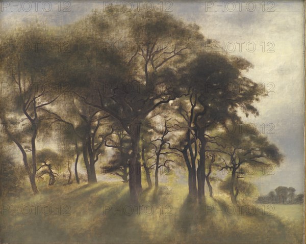 Near Fortunen, Jægersborg Deer Park, North of Copenhagen;From the Deerpark near Copenhagen, 1901. Creator: Vilhelm Hammershøi.