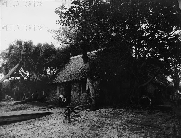 Dawson's, Gem Island, Indian River, between 1880 and 1897. Creator: William H. Jackson.