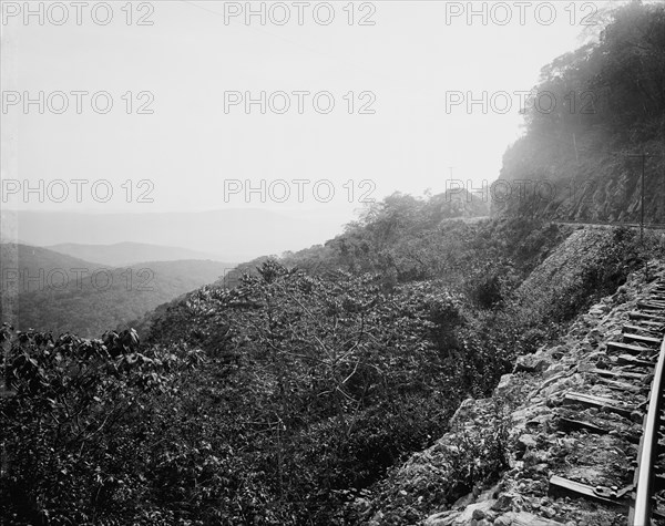 Near mouth of Temasopa [sic] Canon, between 1880 and 1897. Creator: William H. Jackson.