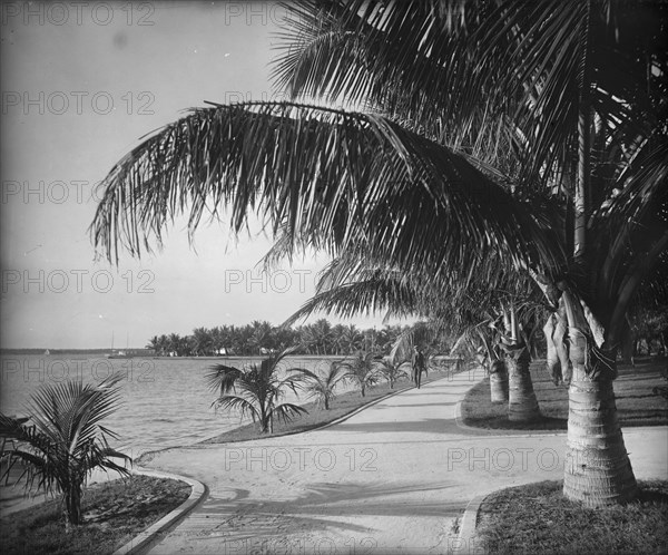 Palm Beach, c1894. Creator: William H. Jackson.