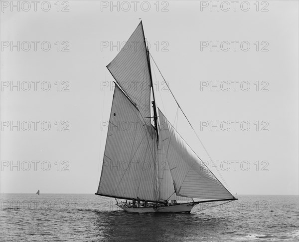 Mineola, Corinthian Sweepstakes, August 17, 1891, 1891 Aug 17. Creator: Unknown.