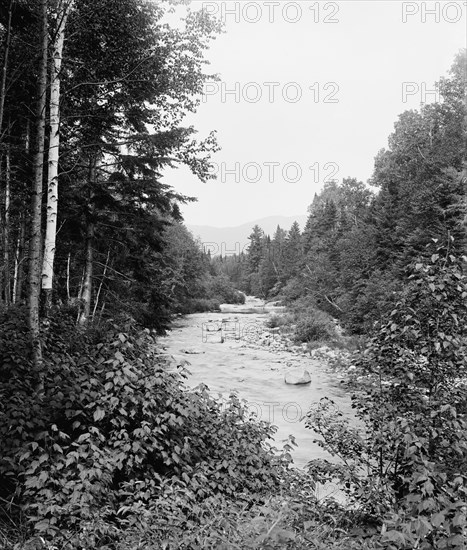 Ammonoosuc and Mt. Clay, Mt. Pleasant Farm, White Mountains, The, between 1900 and 1906. Creator: Unknown.