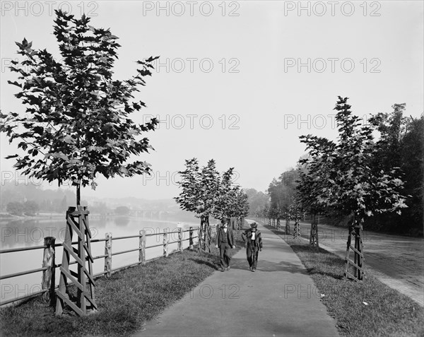 River Drive, Fairmount Park, Philadelphia, between 1900 and 1906. Creator: Unknown.