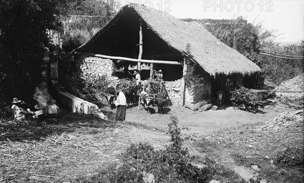 Groups about the sugar mill, Temasopa [sic], between 1880 and 1897. Creator: William H. Jackson.